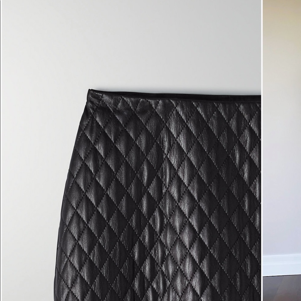 Aritzia skirt